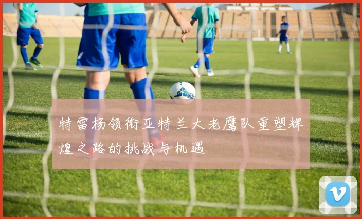 特雷杨领衔亚特兰大老鹰队重塑辉煌之路的挑战与机遇