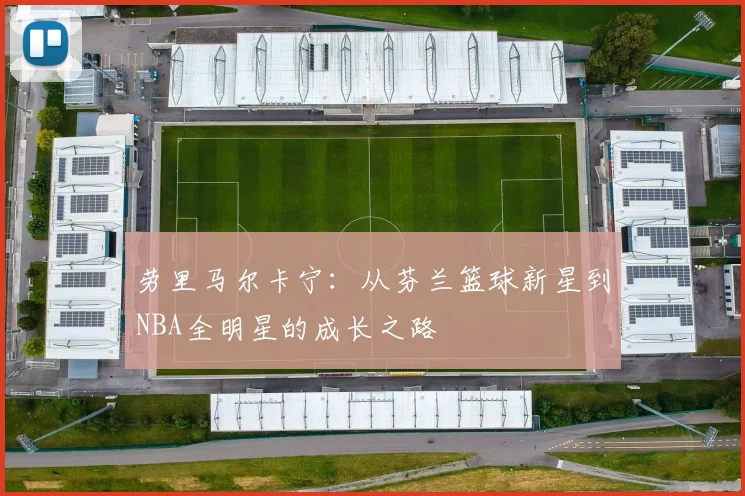 劳里马尔卡宁：从芬兰篮球新星到NBA全明星的成长之路