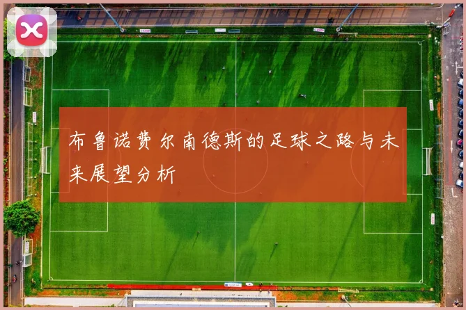 布鲁诺费尔南德斯的足球之路与未来展望分析