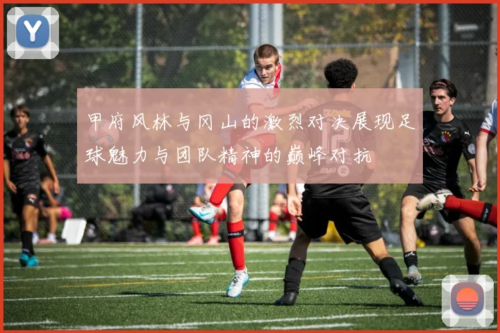 甲府风林与冈山的激烈对决展现足球魅力与团队精神的巅峰对抗
