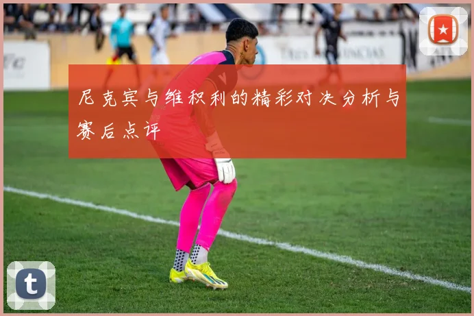 尼克宾与维积利的精彩对决分析与赛后点评