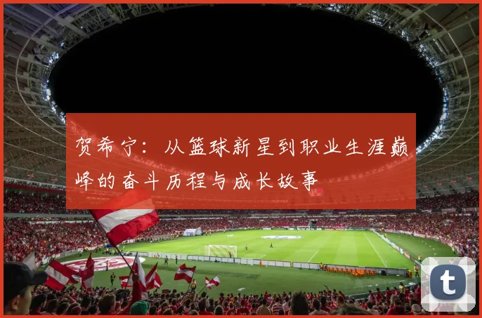 贺希宁：从篮球新星到职业生涯巅峰的奋斗历程与成长故事