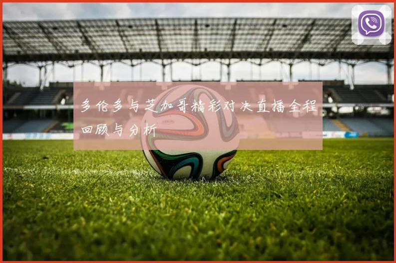 多伦多与芝加哥精彩对决直播全程回顾与分析
