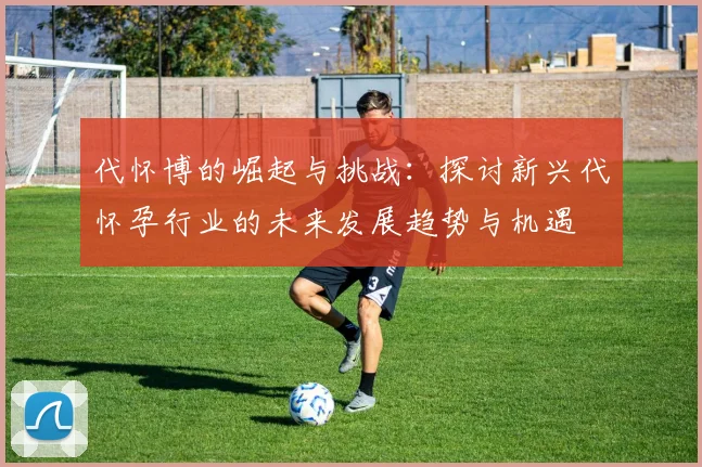 代怀博的崛起与挑战：探讨新兴代怀孕行业的未来发展趋势与机遇